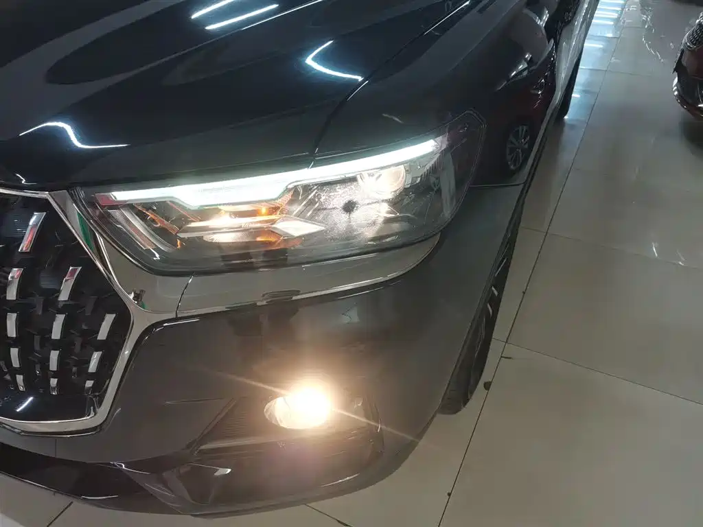Haval H6 2023 National Trend Edition 1.5T Automatic Urban фото 3