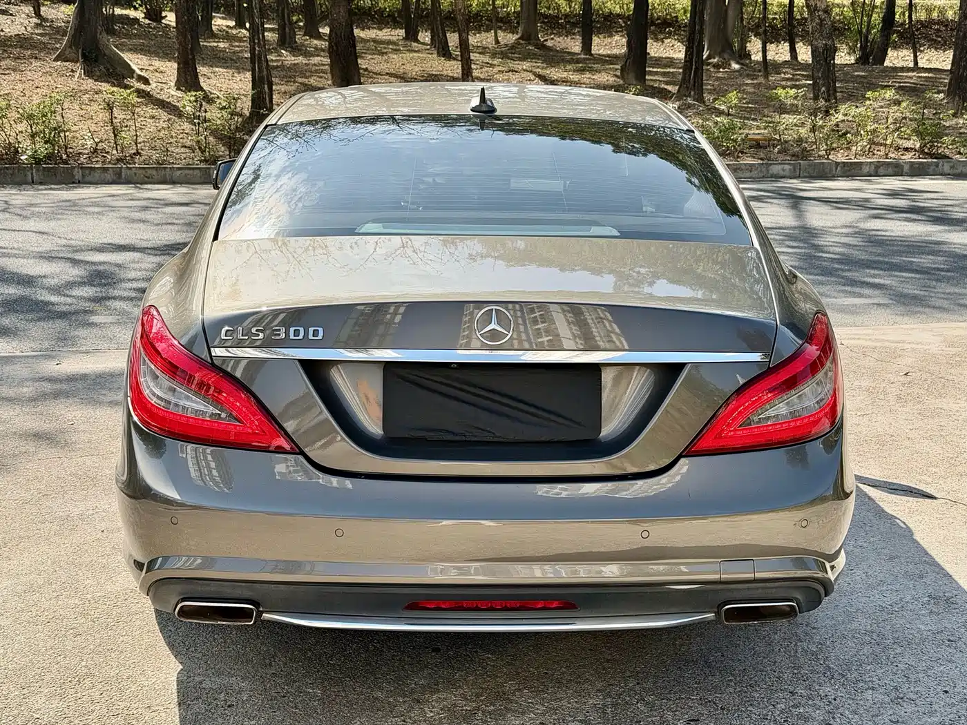 Mercedes-Benz CLS 2012 CLS 300 CGI фото 8