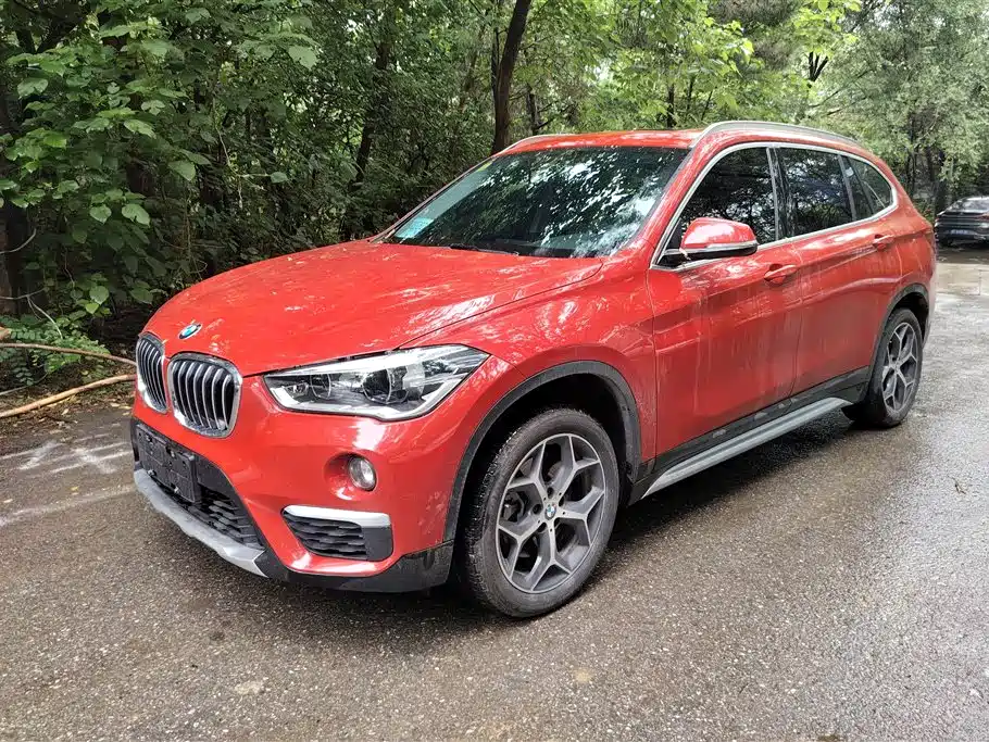 BMW X1 2019 xDrive20Li Premium Model