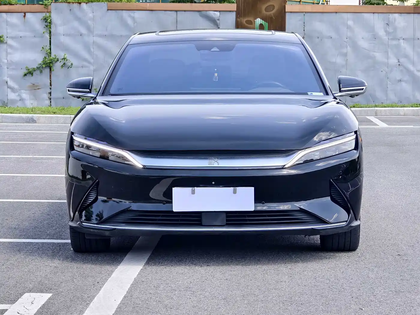 BYD Han 2020 EV AWD High-Performance Flagship фото 2