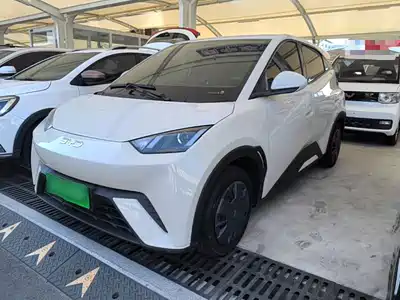 BYD Seagull