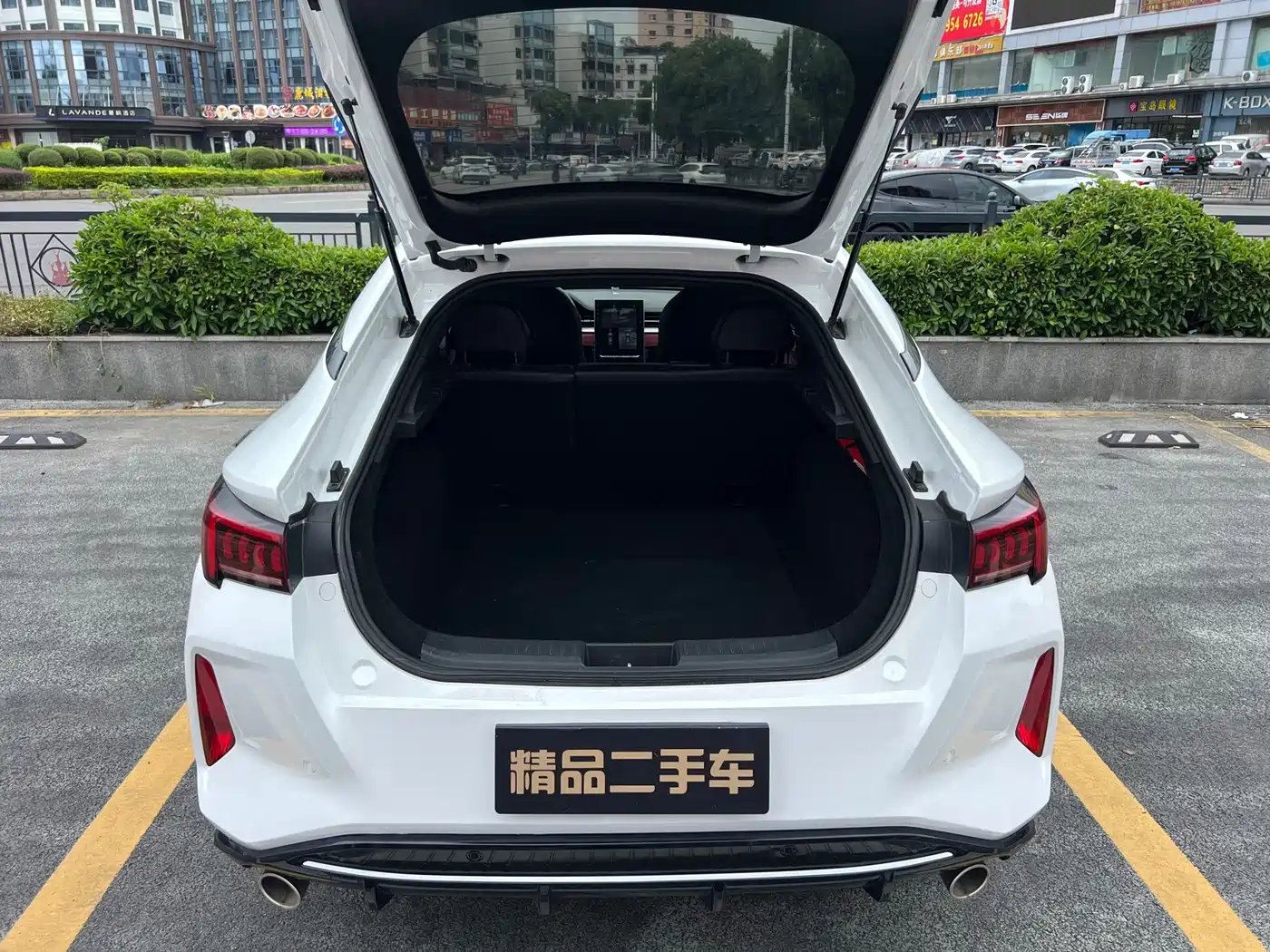 Sehol Yao 2022 2021 Model 1.5TGDI DCT Cloud Piercer RACE Edition