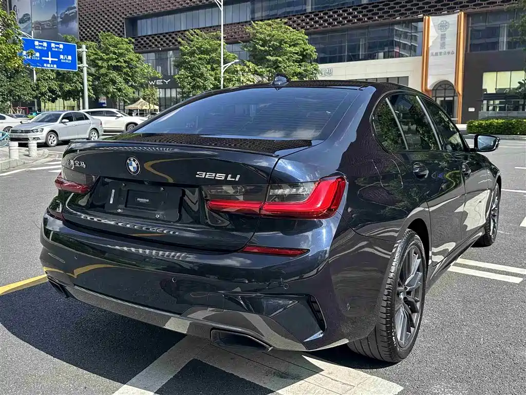 BMW 3 Series 2020 325Li M Sport Black Night Package фото 7