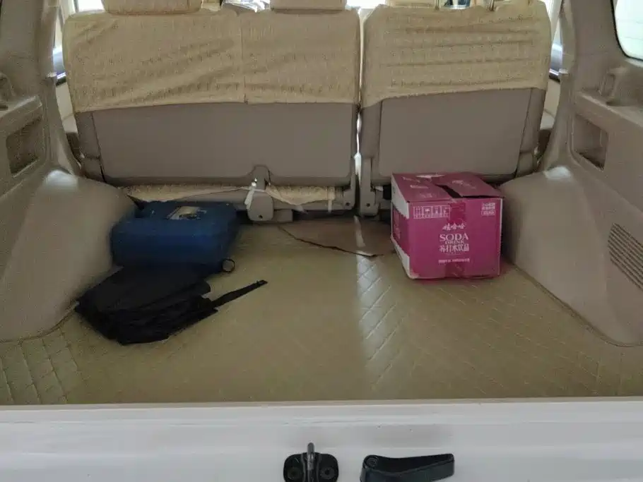 2019 Toyota Land Cruiser (Import)