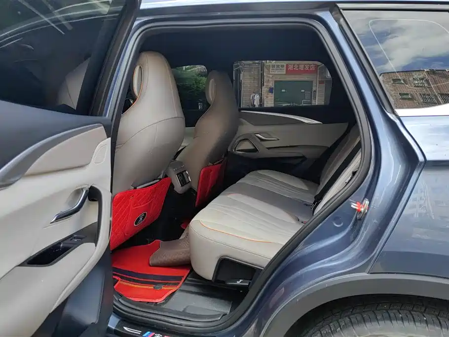 BYD Song Pro New Energy 2024 Glory Edition DM-i 71KM Pilot фото 11