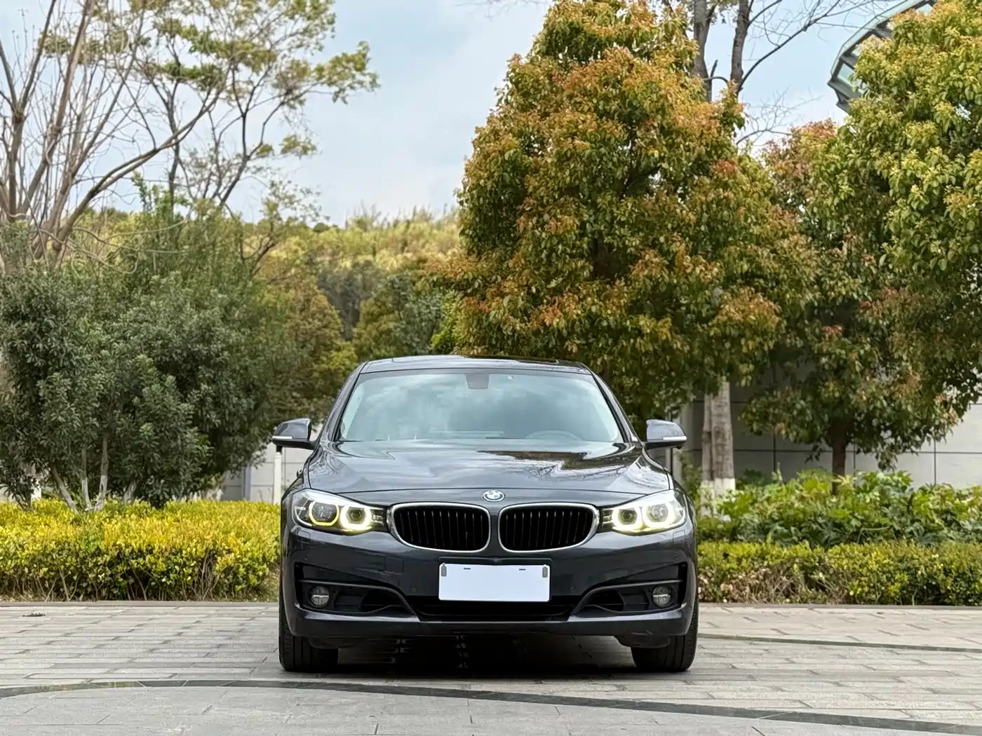 BMW 3 Series GT 2017 320i Fashion фото 2