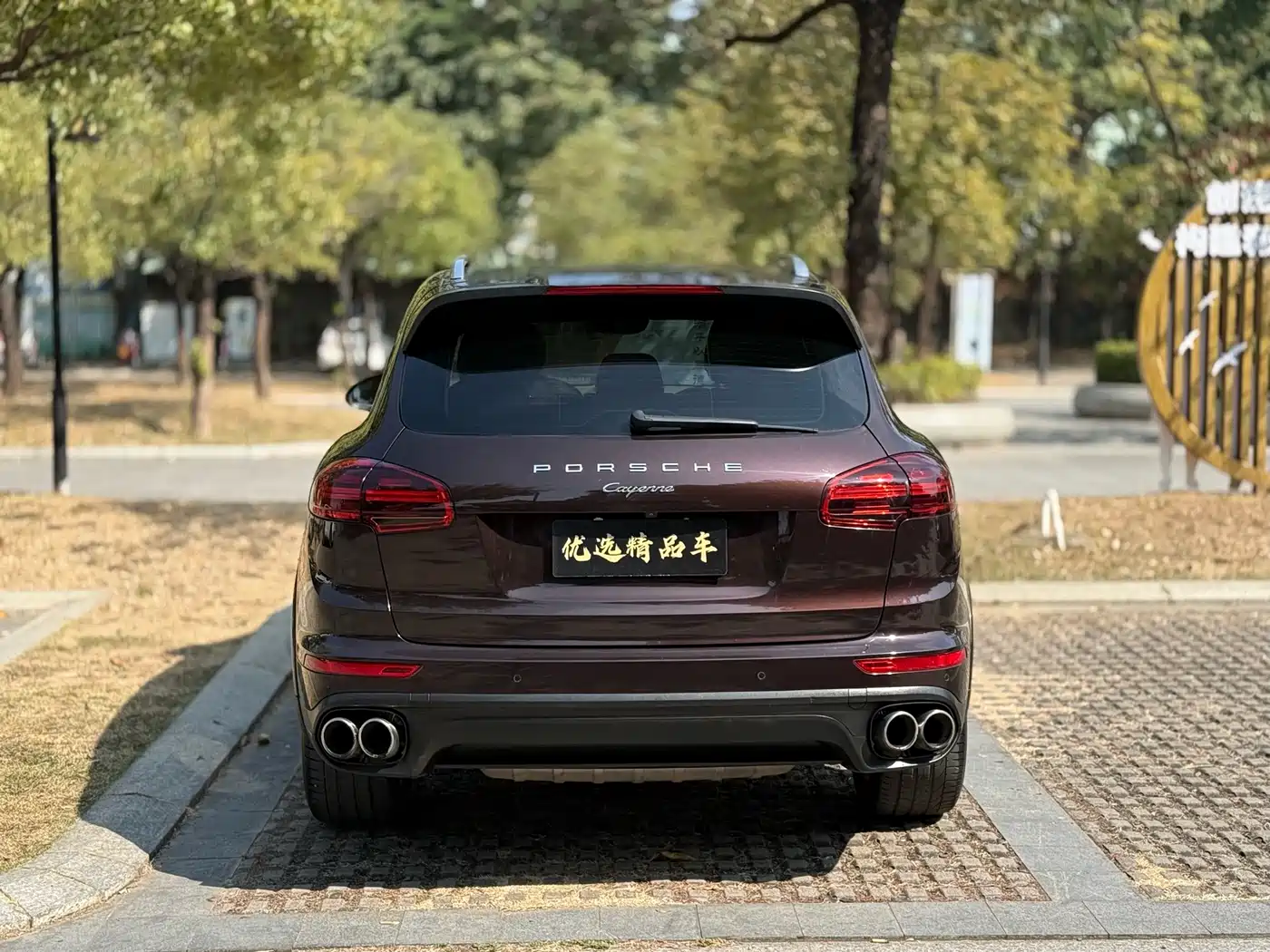 Porsche Cayenne 2016 Cayenne Platinum Edition 3.0T фото 23