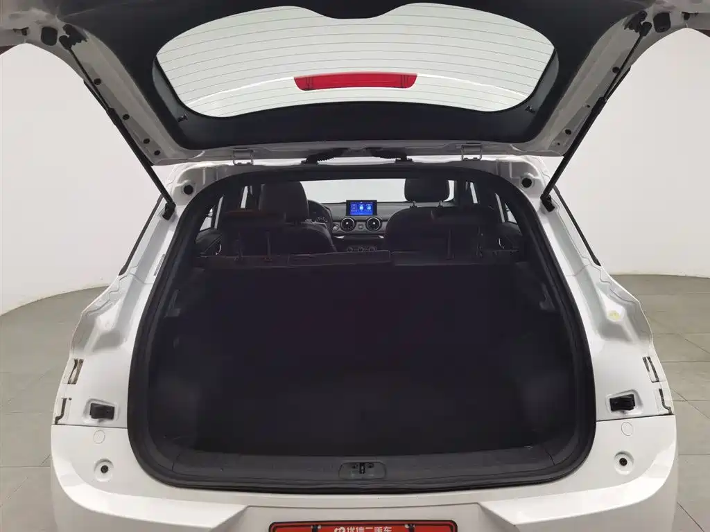 DONGFENG SCENERY 500