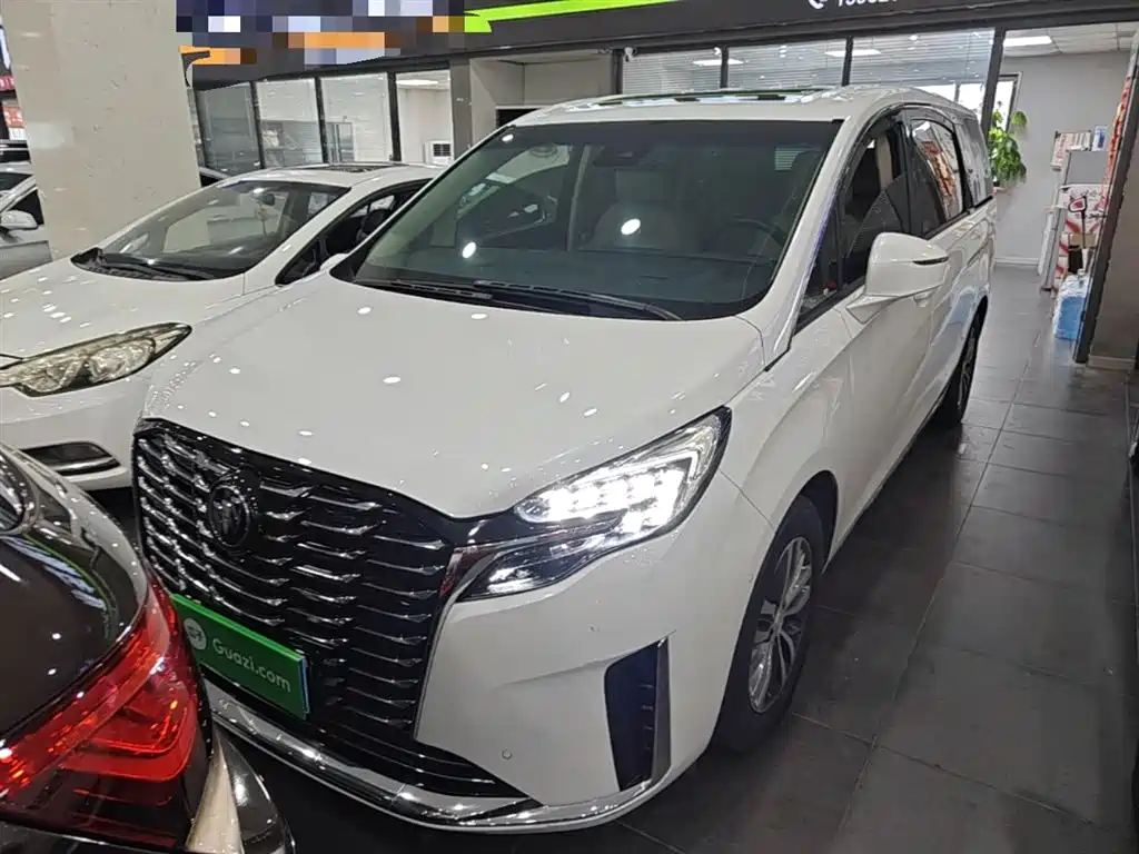 Buick GL8 2023 ES Landmaster Exclusive фото 2