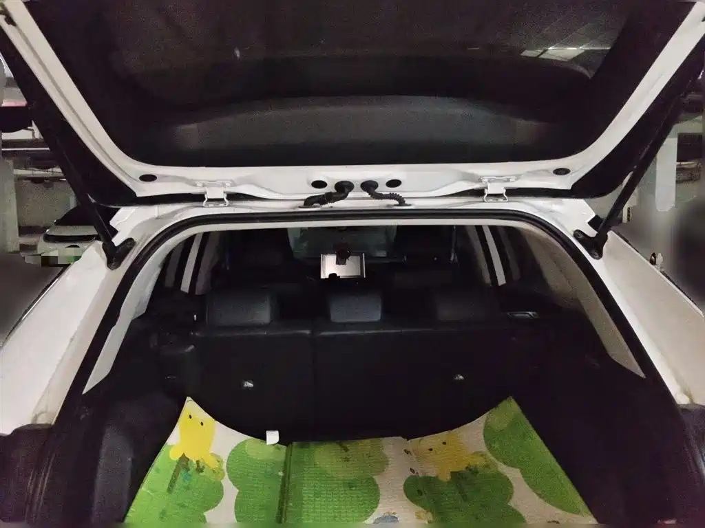 Toyota RAV4 Rongfang 2021 2.0L CVT 2WD Trend PLUS фото 16