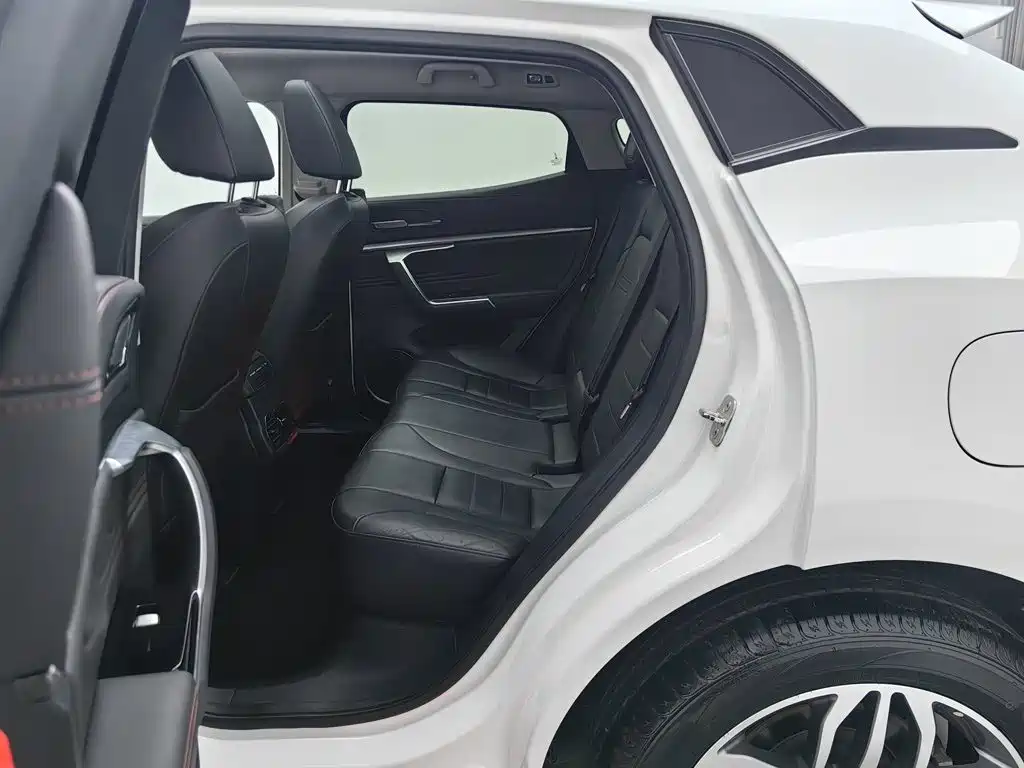 WEY VV5 2017 2017 2.0T Super Luxury Model