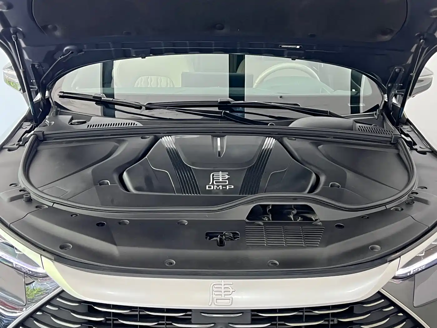 BYD Tang New Energy 2024 DM-p Champion Edition 215KM AWD Flagship фото 4