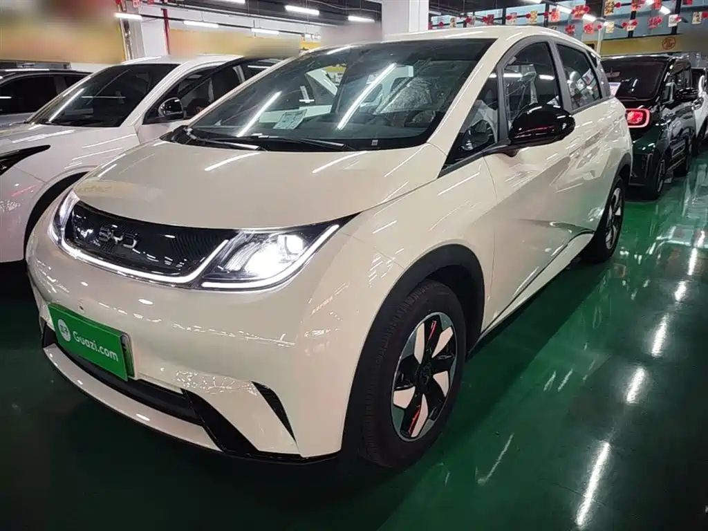 BYD Dolphin 2025 420km Freedom Edition