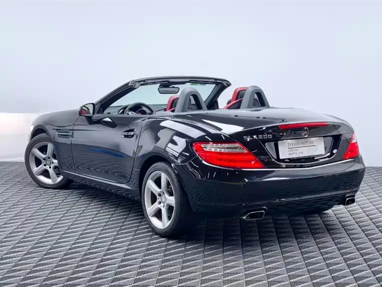 Mercedes-Benz SLK-Class 2011 SLK 200 Fashion фото 6