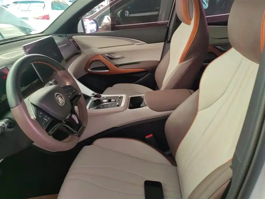 BYD Song Pro New Energy 2022 DM-i 51km Premium фото 9