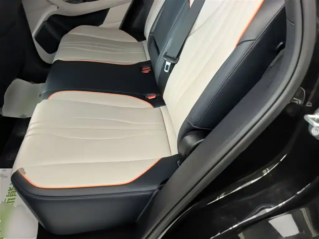 BYD Song PLUS PHEV 2024 Glory Edition DM-i 110km Flagship фото 17