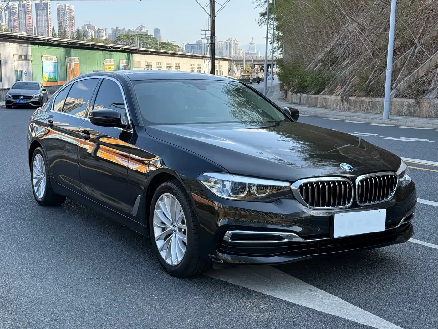 BMW 5 Series 2019 530Li Leading Luxury Package фото 3