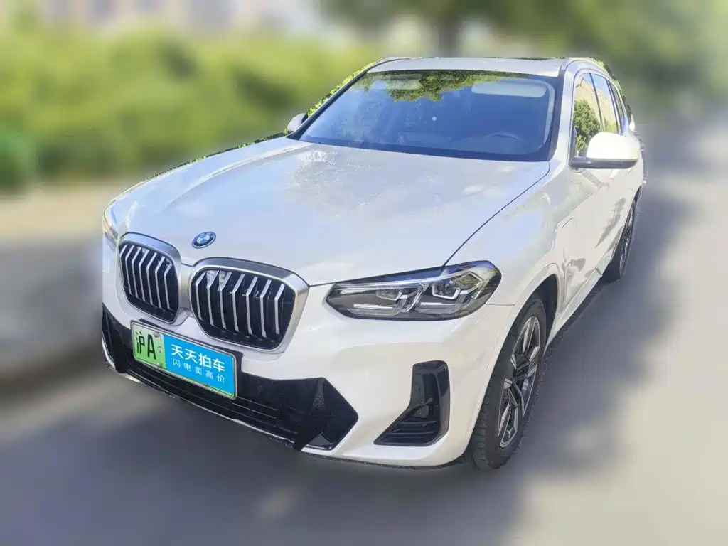 BMW iX3 2025 2024 Leading Edition