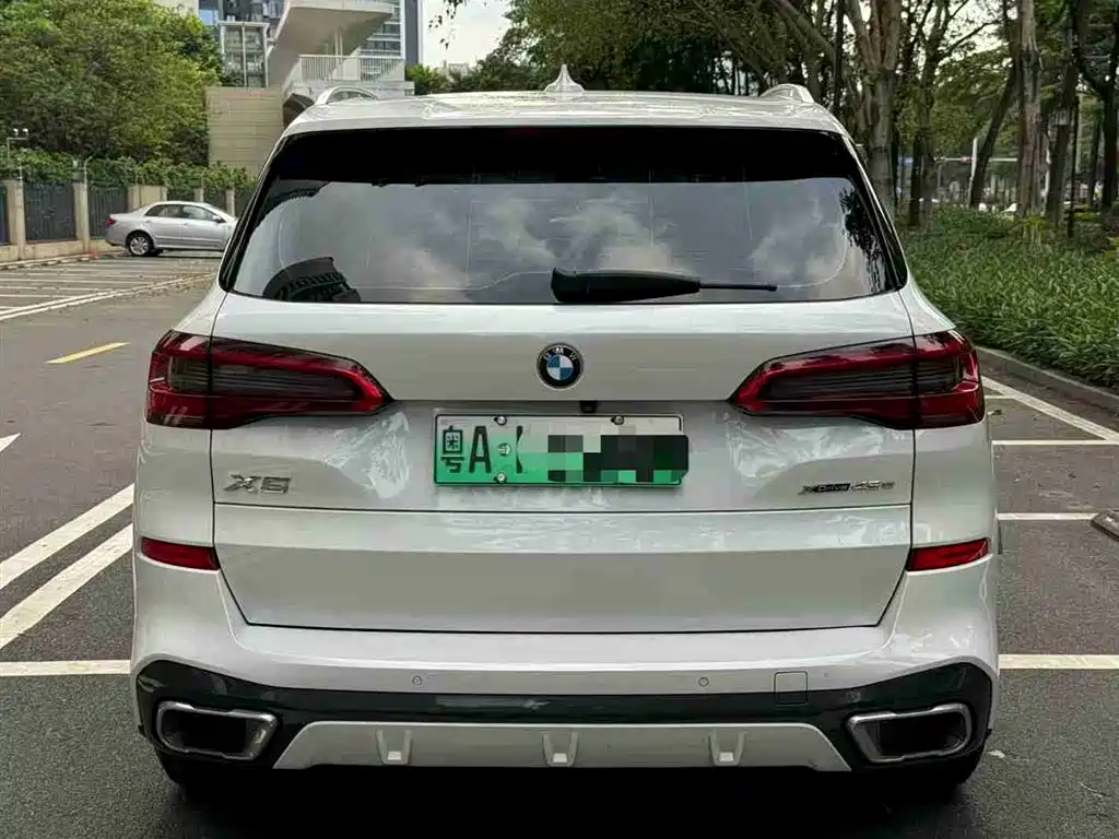BMW X5 New Energy(Imported) 2020 xDrive45e M Sport Package фото 5