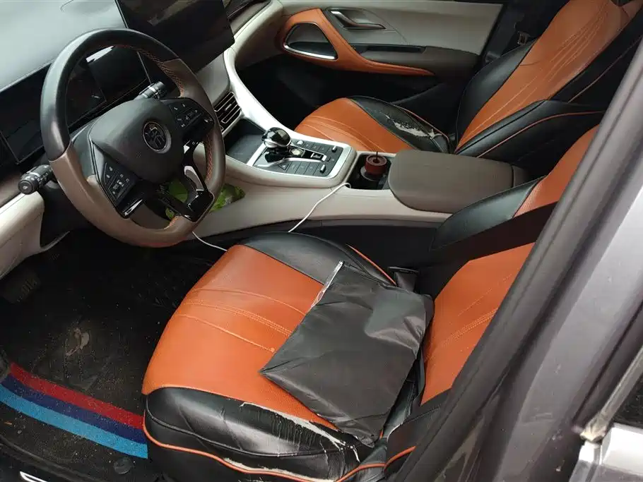 BYD Song Pro New Energy 2022 DM-i 51km Premium фото 9