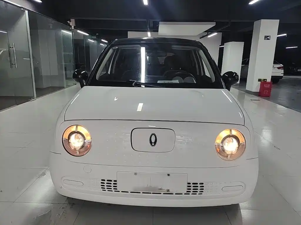 Ora Black Cat 2021 2021 301km Pet Edition