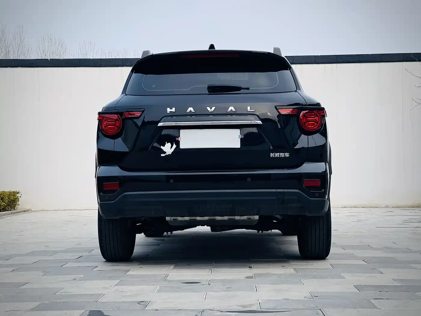 HAVAL SECOND GENERATION BIG DOG