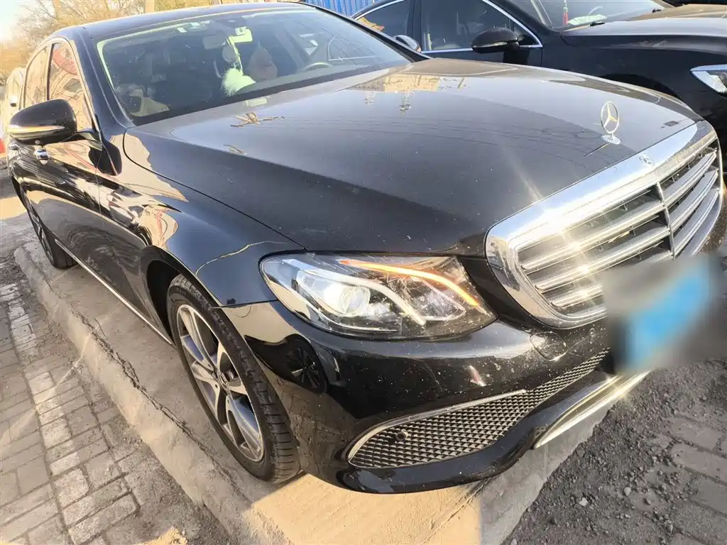 Mercedes-Benz E-Class 2019 E 300 L Luxury фото 22