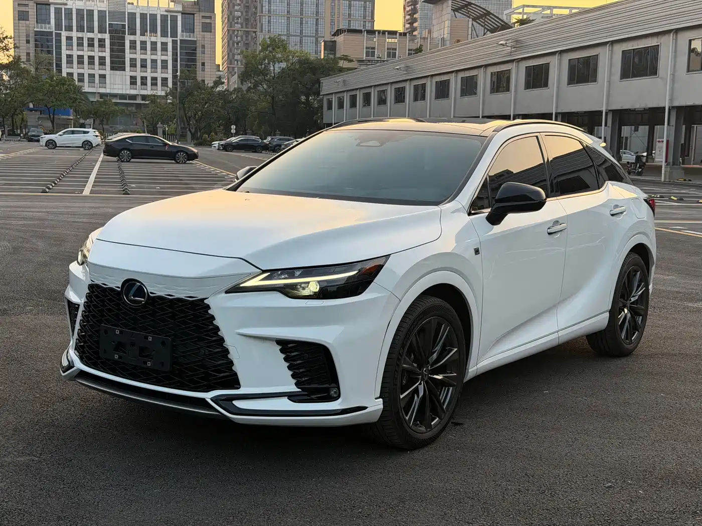 LEXUS RX