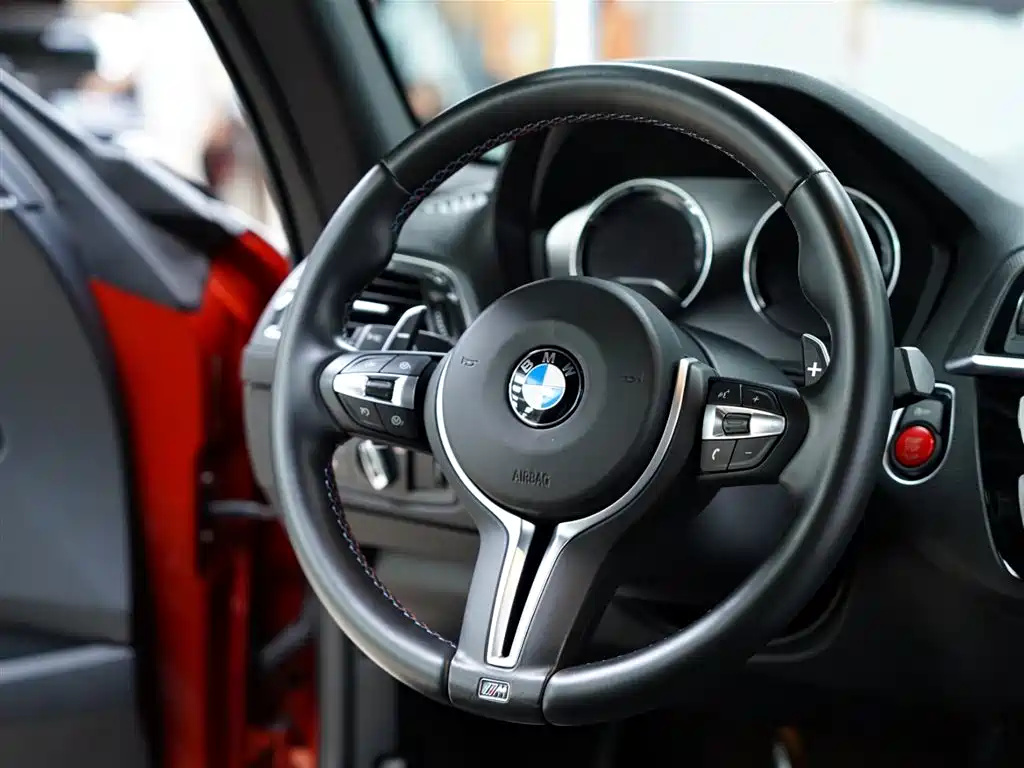 BMW M2 2018 M2 Thunder Edition фото 40