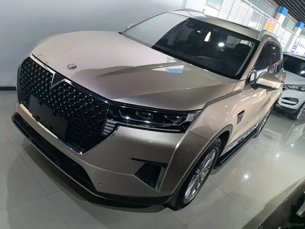 Venucia Star 2020 2020 260T Automatic 48V Mild Hybrid Turbo Star Enjoy Edition