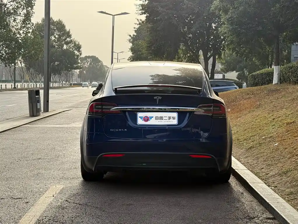 TESLA MODEL X