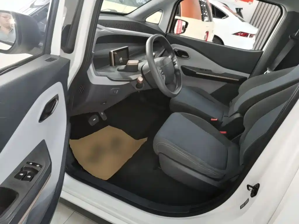 Baojun E200 2021 2020 305KM Smart Edition