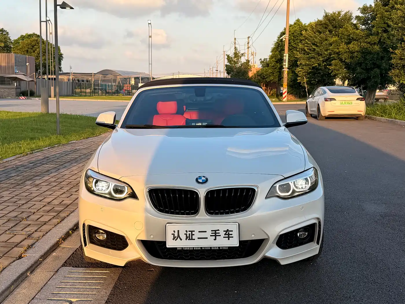 BMW 2 Series (Import) 2018 225i Convertible Coupe M Sport фото 2