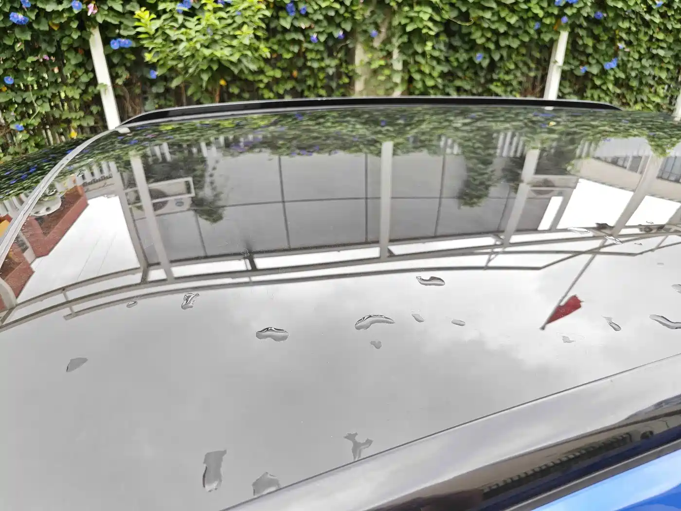 WEY VV5 2018 2017 2.0T Flagship Model