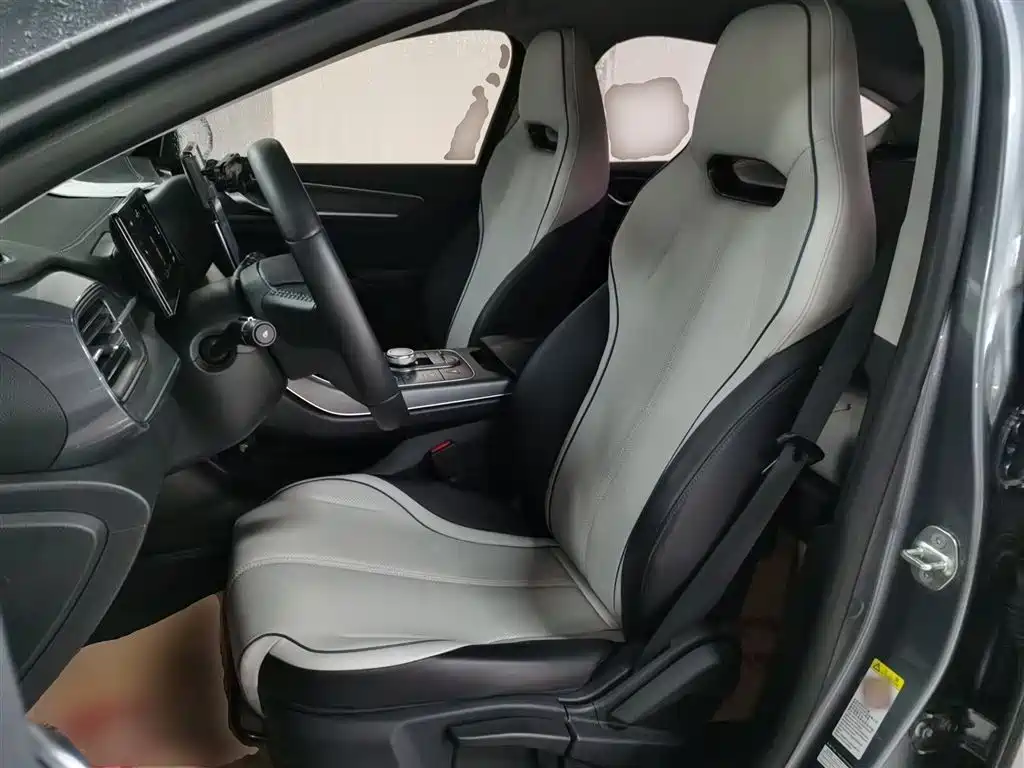 BYD Destroyer 05 2024 Glory Edition DM-i 55KM Luxury фото 11