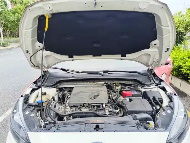 Ford Focus 2021 Hatchback EcoBoost 180 Automatic ST Line — фото 3