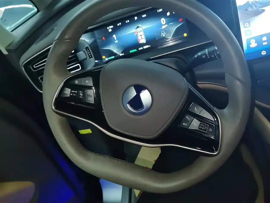 Denza D9 2022 DM-i 970 AWD Flagship фото 15
