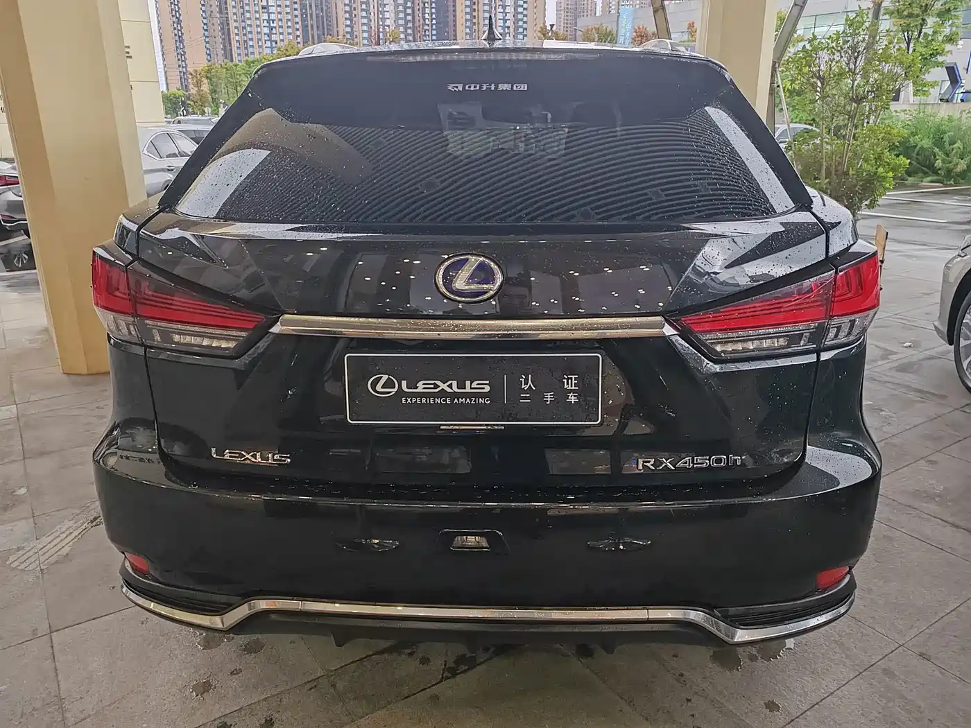 Фото 19 - Lexus RX