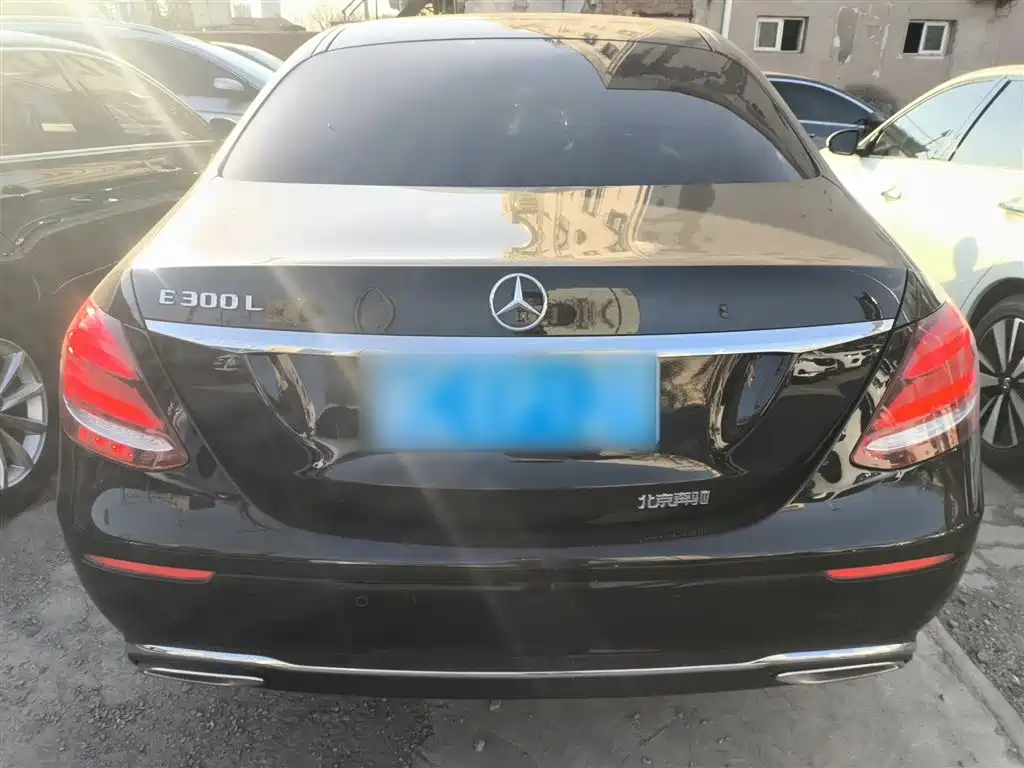 Mercedes-Benz E-Class 2019 E 300 L Luxury фото 4