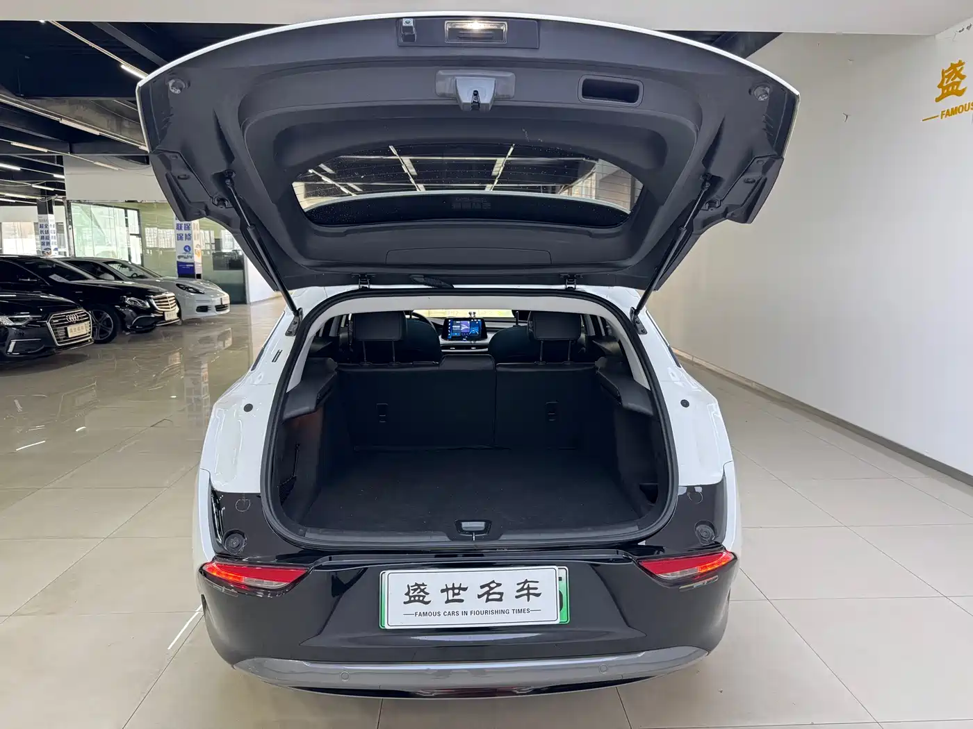 Buick Velite 6 2023 430km Premium Edition фото 13