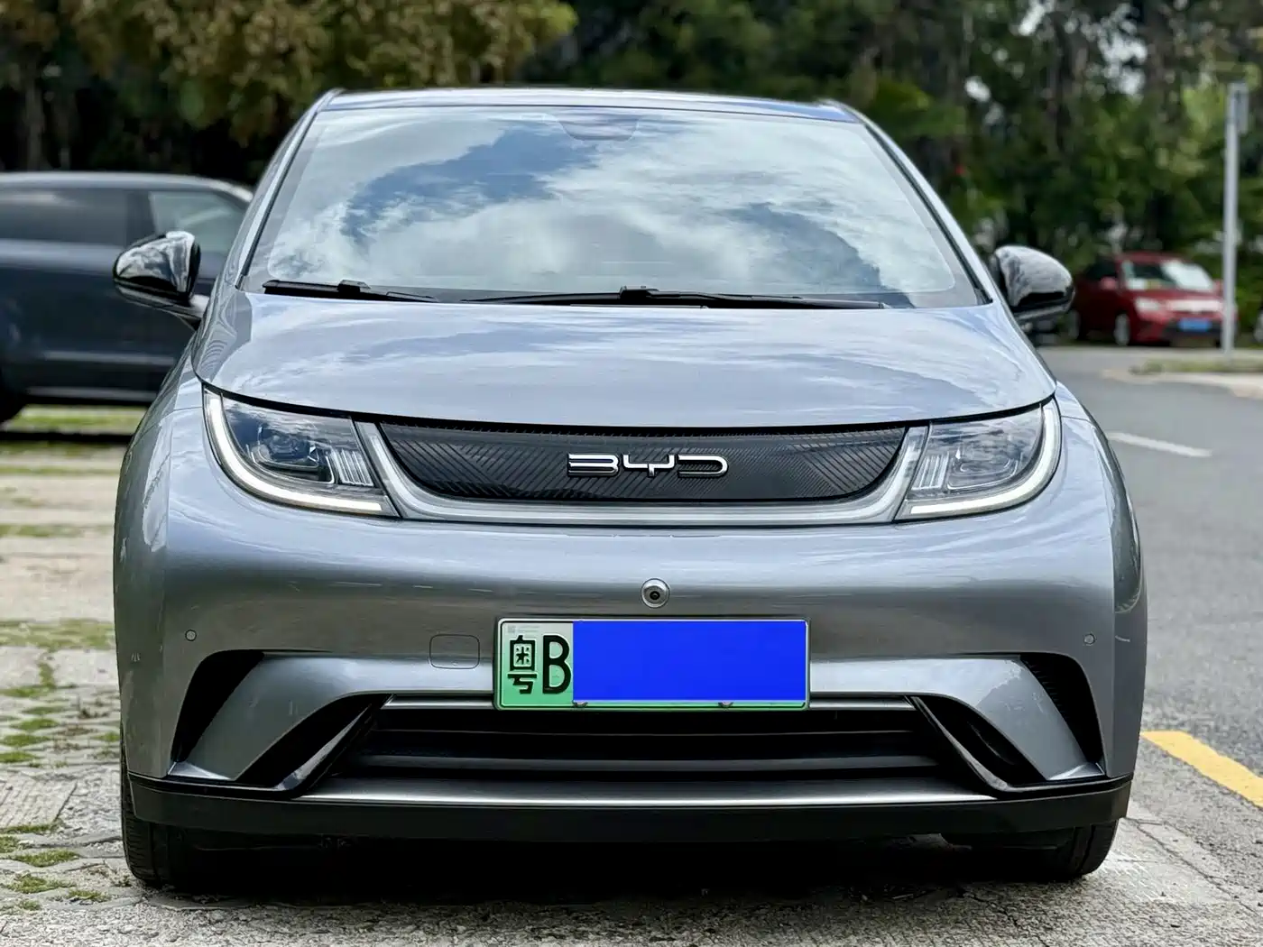 BYD Dolphin 2023 420km Fashion Edition фото 2