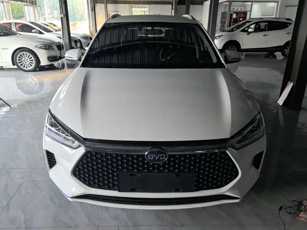 BYD e2 2021 2021 Premium Model