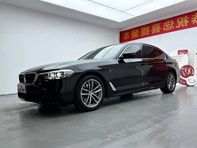 BMW 5 SERIES