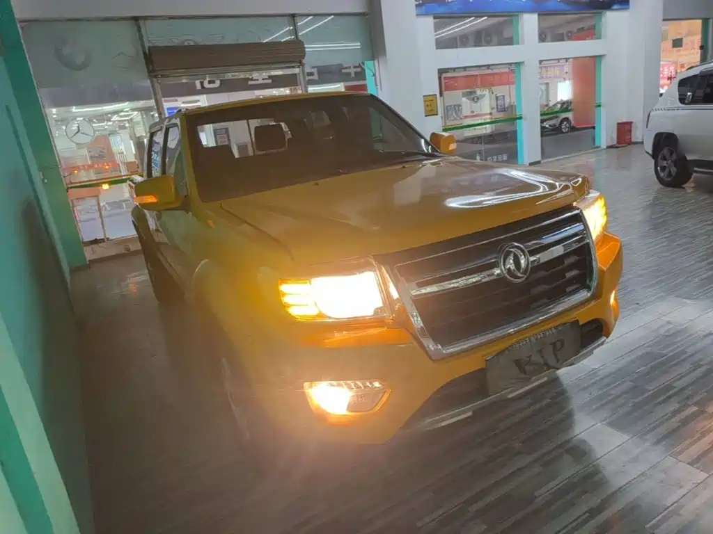 Dongfeng Ruiqi 2020 2019 2.4L Gasoline China VI 4WD Standard Standard Box 2TZD