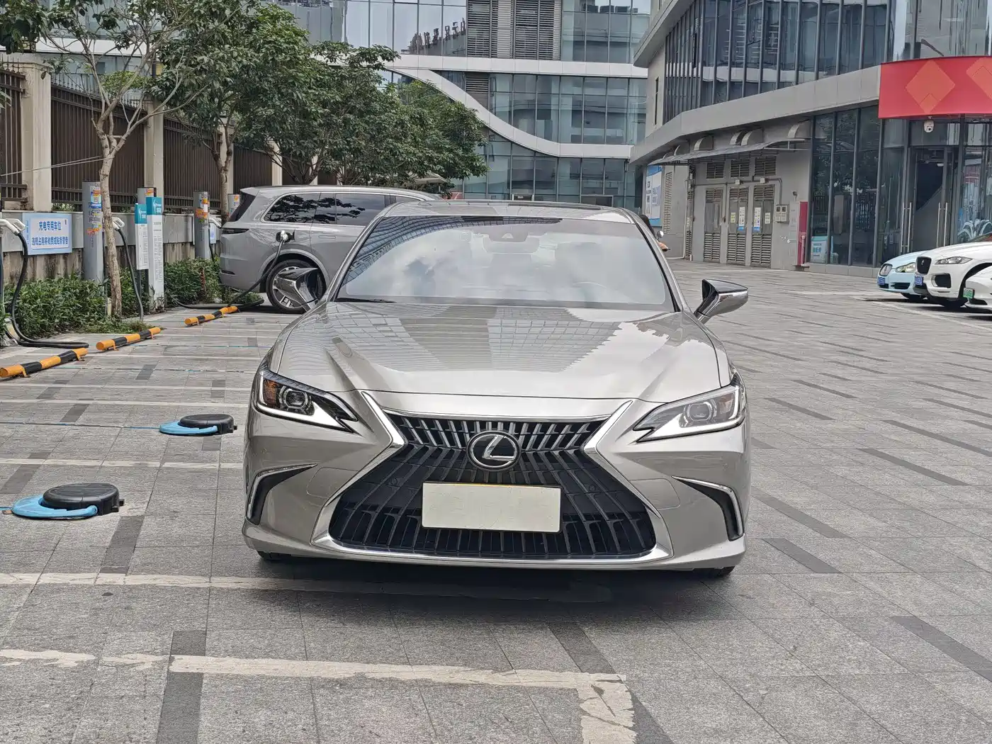 Lexus ES 2022 300h Excellence Edition фото 2