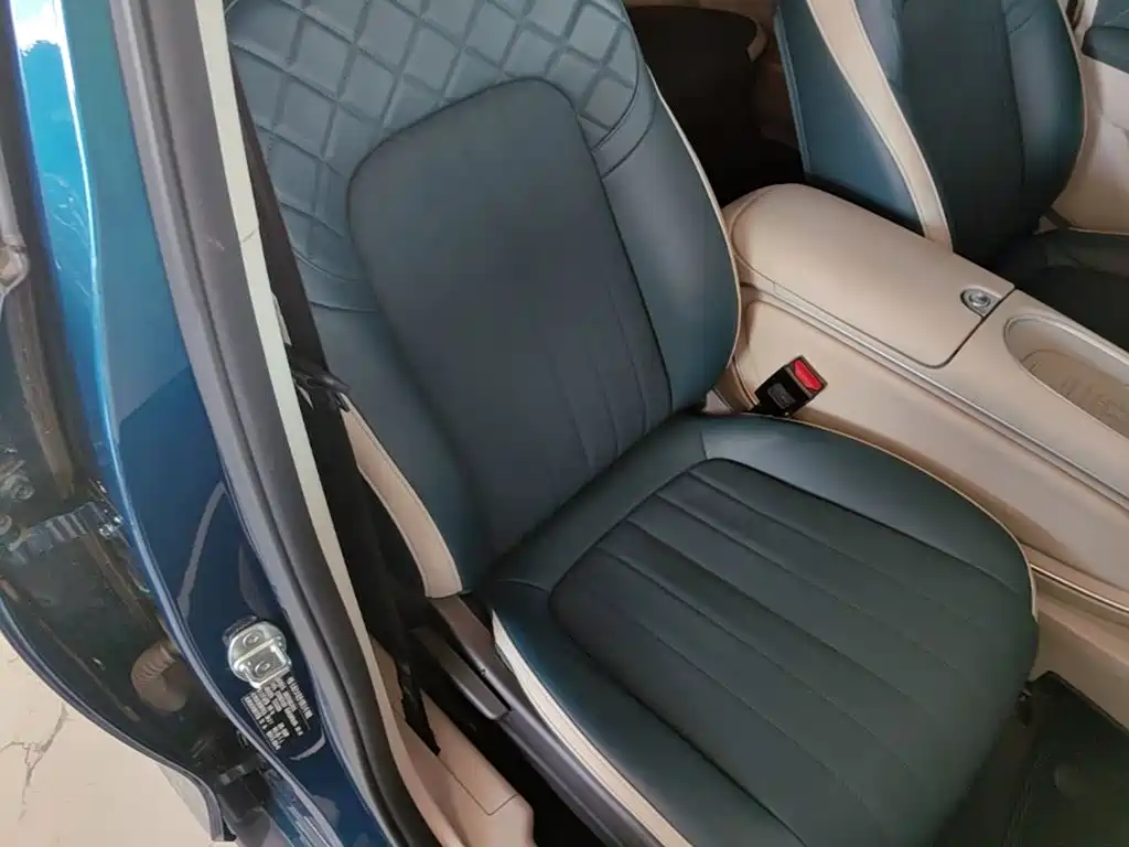 Ora Good Cat 2024 2024 401km Luxury