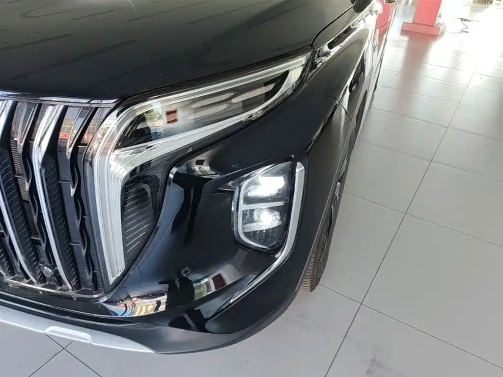 Hongqi HS7 PHEV 2024 2.0T PHEV 4WD Flagship Edition 6-seater фото 24