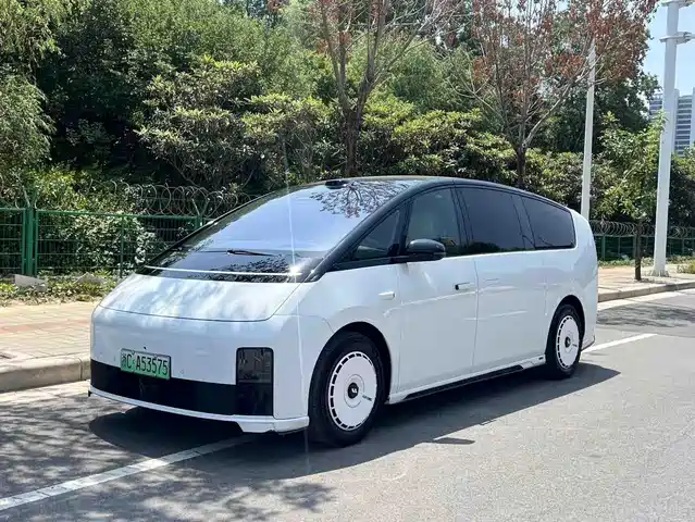 Li Auto MEGA Home, Семейная спецсерия