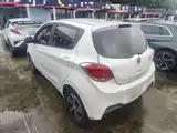Фото 5 - Changan Benben E-Star