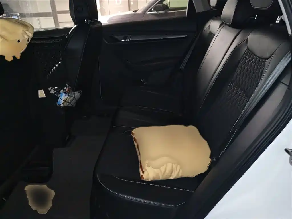 Škoda Karoq 2019 TSI280 Smart Drive Premium Edition China VI фото 15